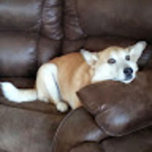 Meet your Posher, Jerri